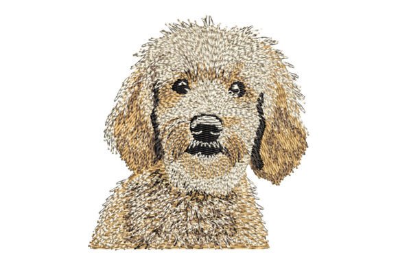 Goldendoodle Embroidery Design Review
